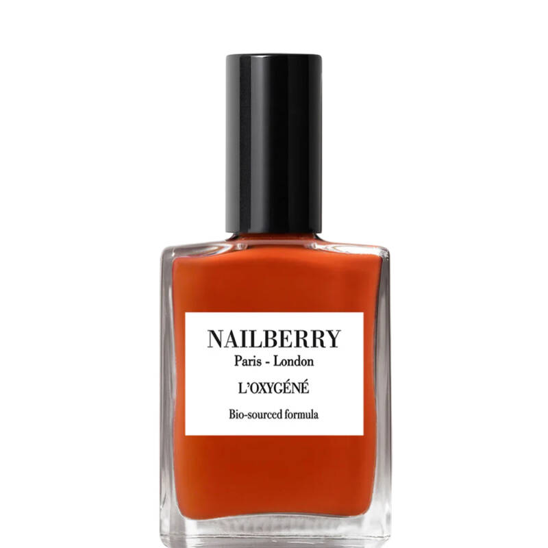Nailberry Pumpkin Pie